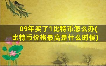 09年买了1比特币怎么办(比特币价格最高是什么时候)