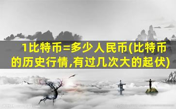 1比特币=多少人民币(比特币的历史行情,有过几次大的起伏)
