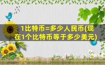 1比特币=多少人民币(现在1个比特币等于多少美元)