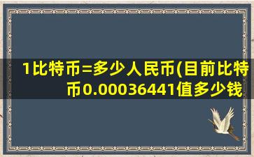 1比特币=多少人民币(目前比特币0.00036441值多少钱)