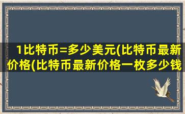 1比特币=多少美元(比特币最新价格(比特币最新价格一枚多少钱人民币))