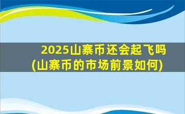 2025山寨币还会起飞吗(山寨币的市场前景如何)