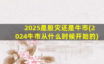 2025是股灾还是牛市(2024牛市从什么时候开始的)