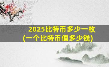 2025比特币多少一枚(一个比特币值多少钱)