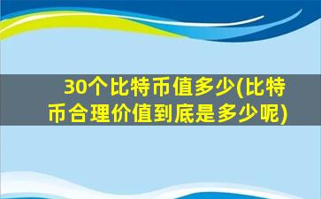 30个比特币值多少(比特币合理价值到底是多少呢)