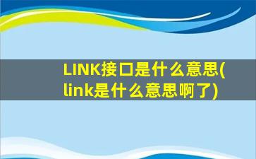 LINK接口是什么意思(link是什么意思啊了)