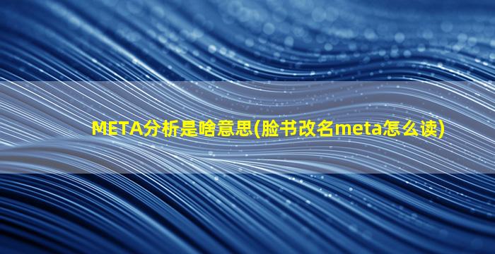 META分析是啥意思(脸书改名meta怎么读)