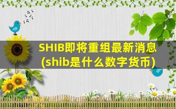 SHIB即将重组最新消息(shib是什么数字货币)
