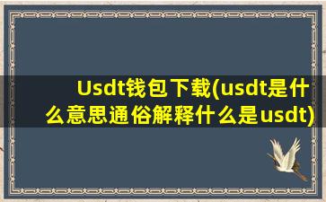 Usdt钱包下载(usdt是什么意思通俗解释什么是usdt)