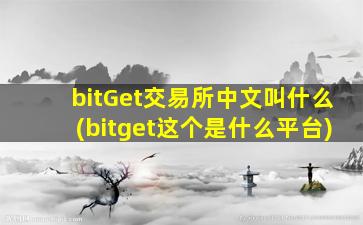 bitGet交易所中文叫什么(bitget这个是什么平台)