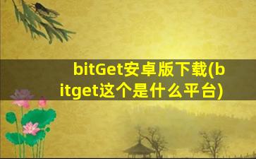 bitGet安卓版下载(bitget这个是什么平台)