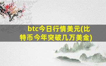 btc今日行情美元(比特币今年突破几万美金)