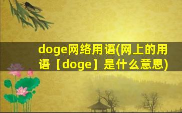 doge网络用语(网上的用语【doge】是什么意思)