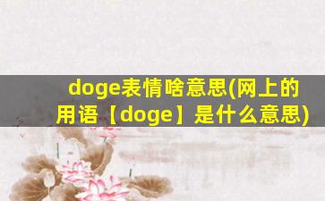 doge表情啥意思(网上的用语【doge】是什么意思)