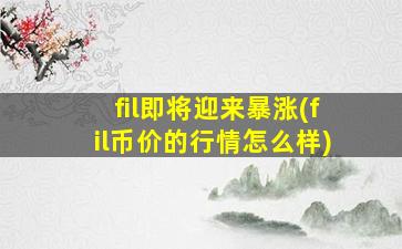 fil即将迎来暴涨(fil币价的行情怎么样)