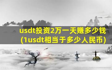 usdt投资2万一天赚多少钱(1usdt相当于多少人民币)