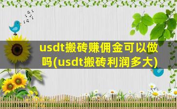 usdt搬砖赚佣金可以做吗(usdt搬砖利润多大)