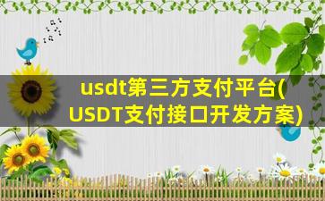usdt第三方支付平台(USDT支付接口开发方案)