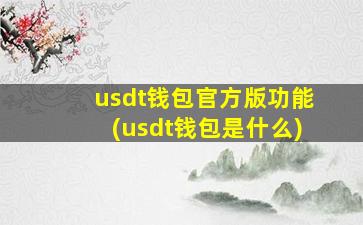 usdt钱包官方版功能(usdt钱包是什么)