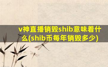v神直播销毁shib意味着什么(shib币每年销毁多少)
