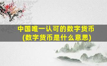 中国唯一认可的数字货币(数字货币是什么意思)
