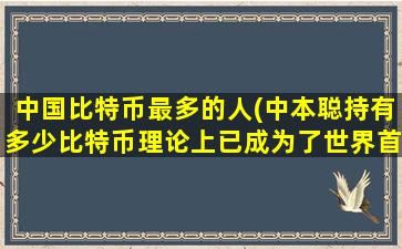中国比特币最多的人(中本聪持有多少比特币理论上已成为了世界首富)