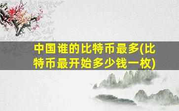中国谁的比特币最多(比特币最开始多少钱一枚)