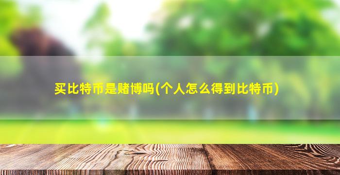 买比特币是赌博吗(个人怎么得到比特币)