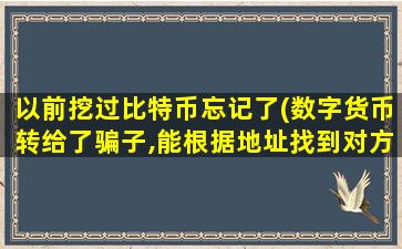 以前挖过比特币忘记了(数字货币转给了骗子,能根据地址找到对方吗)