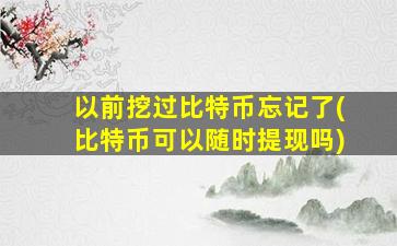 以前挖过比特币忘记了(比特币可以随时提现吗)