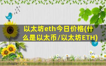 以太坊eth今日价格(什么是以太币/以太坊ETH)