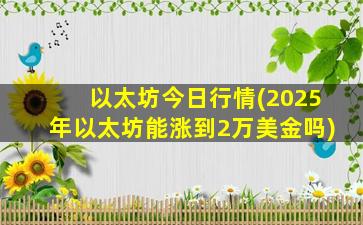 以太坊今日行情(2025年以太坊能涨到2万美金吗)
