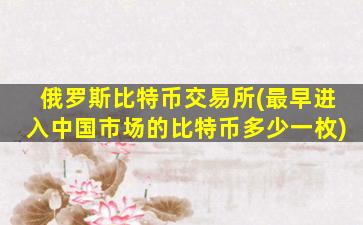 俄罗斯比特币交易所(最早进入中国市场的比特币多少一枚)