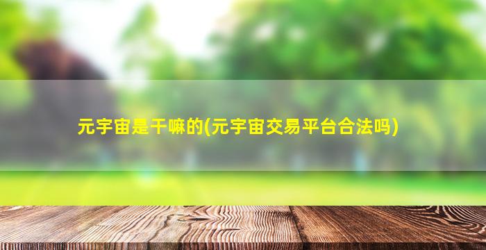 元宇宙是干嘛的(元宇宙交易平台合法吗)