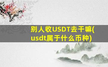 别人收USDT去干嘛(usdt属于什么币种)