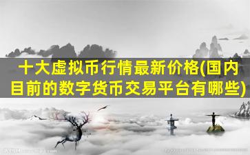 十大虚拟币行情最新价格(国内目前的数字货币交易平台有哪些)