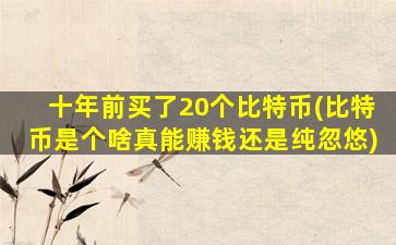 十年前买了20个比特币(比特币是个啥真能赚钱还是纯忽悠)