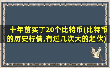 十年前买了20个比特币(比特币的历史行情,有过几次大的起伏)