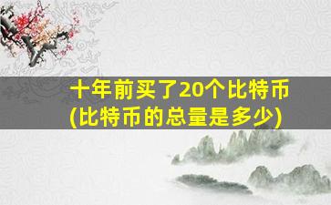 十年前买了20个比特币(比特币的总量是多少)