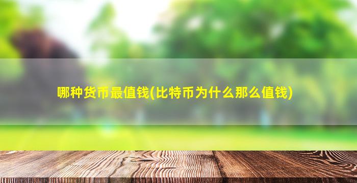 哪种货币最值钱(比特币为什么那么值钱)