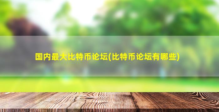 国内最大比特币论坛(比特币论坛有哪些)