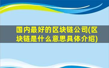 国内最好的区块链公司(区块链是什么意思具体介绍)