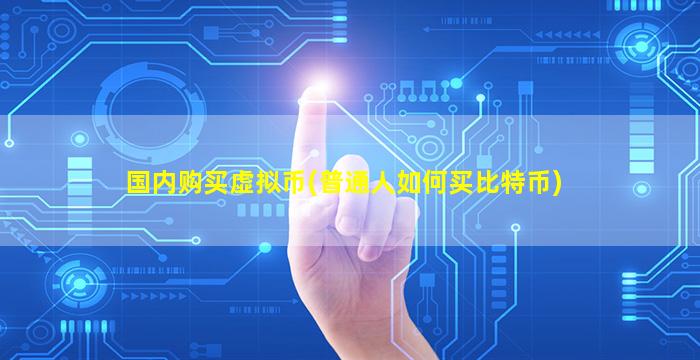 国内购买虚拟币(普通人如何买比特币)