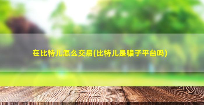 在比特儿怎么交易(比特儿是骗子平台吗)