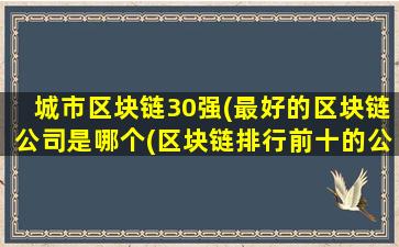 城市区块链30强(最好的区块链公司是哪个(区块链排行前十的公司))