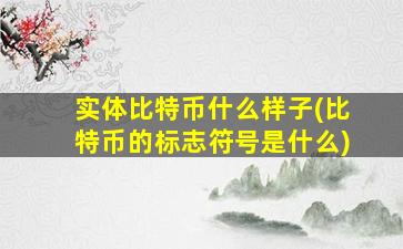 实体比特币什么样子(比特币的标志符号是什么)
