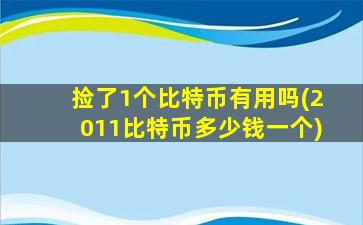 捡了1个比特币有用吗(2011比特币多少钱一个)