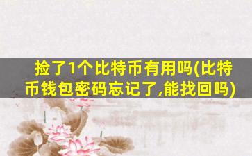 捡了1个比特币有用吗(比特币钱包密码忘记了,能找回吗)