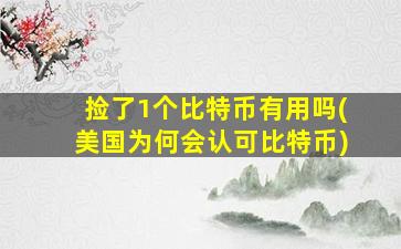 捡了1个比特币有用吗(美国为何会认可比特币)
