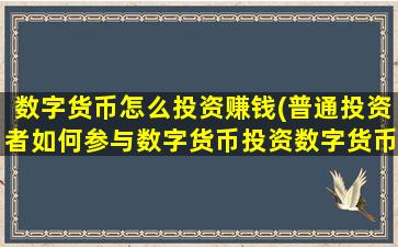 数字货币怎么投资赚钱(普通投资者如何参与数字货币投资数字货币的发展前景如何)